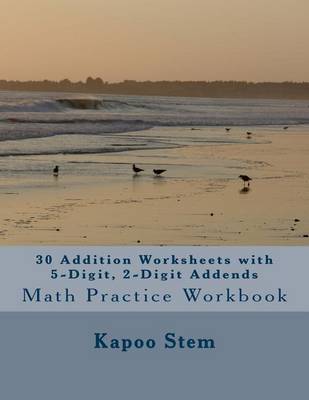 Book cover for 30 Addition Worksheets with 5-Digit, 2-Digit Addends