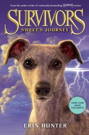 Cover of Sweet's Journey
