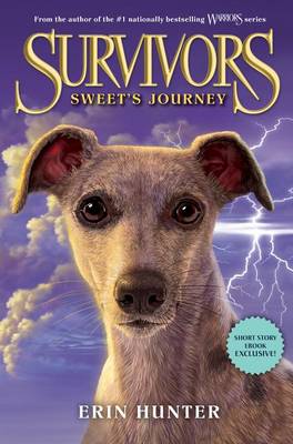 Book cover for Sweet's Journey