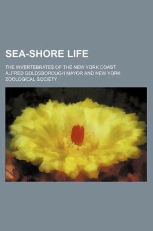 Cover of Sea-Shore Life; The Invertebrates of the New York Coast