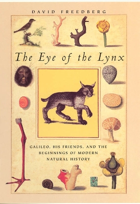 Book cover for The Eye of the Lynx