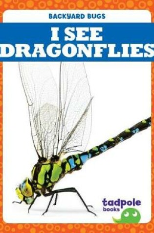 Cover of I See Dragonflies