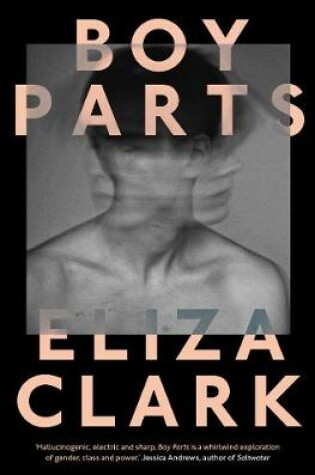 Cover of Boy Parts