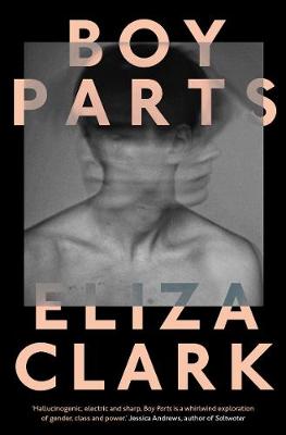 Book cover for Boy Parts