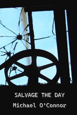 Book cover for Salvage the Day