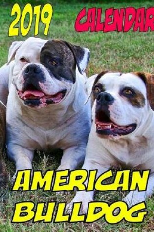 Cover of 2019 Calendar American Bulldog