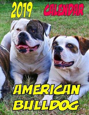 Book cover for 2019 Calendar American Bulldog