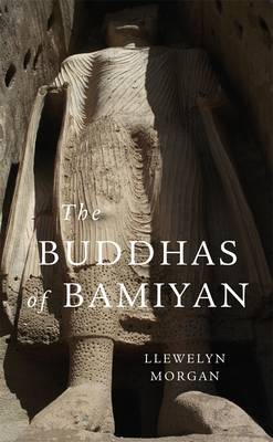 Book cover for The Buddhas of Bamiyan