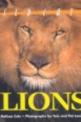 Cover of Lions