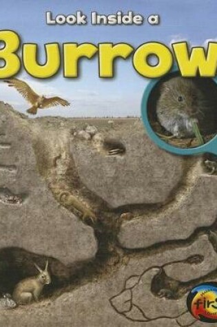 Cover of Burrow