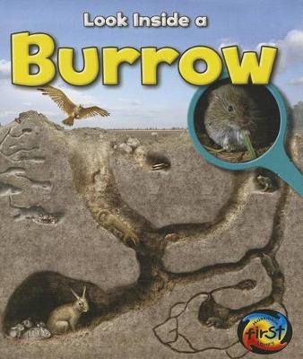 Cover of Burrow
