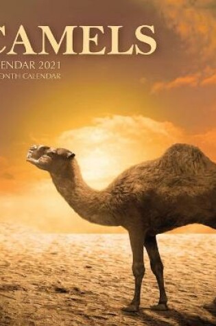 Cover of Camels Calendar 2021