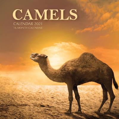 Book cover for Camels Calendar 2021