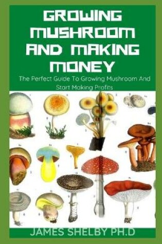 Cover of Growing Mushroom and Making Money