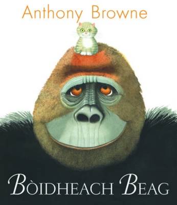 Book cover for Boidheach Beag