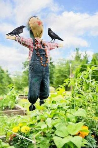 Cover of Scarecrow Guarding the Vegetables in the Garden