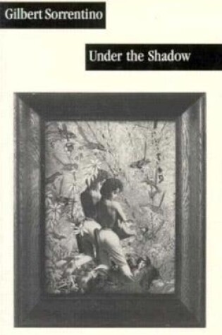 Cover of Under the Shadow