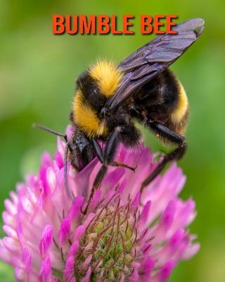 Book cover for Bumble Bee