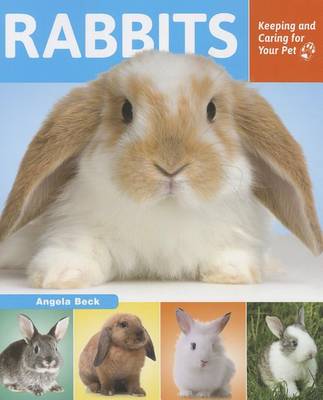 Cover of Rabbits