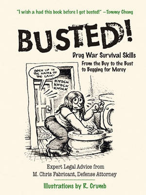 Book cover for Busted!