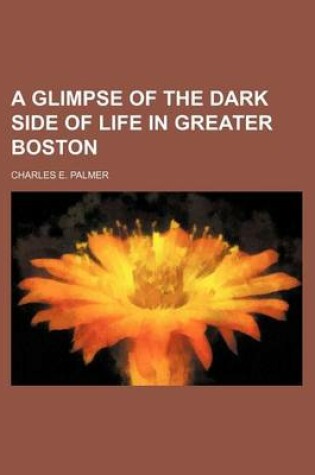 Cover of A Glimpse of the Dark Side of Life in Greater Boston