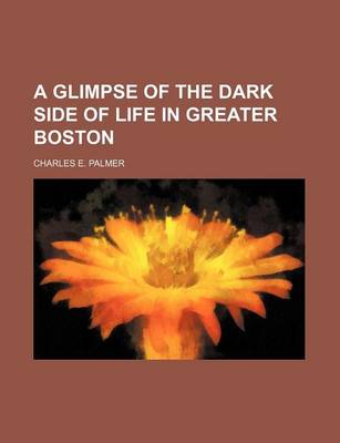 Book cover for A Glimpse of the Dark Side of Life in Greater Boston