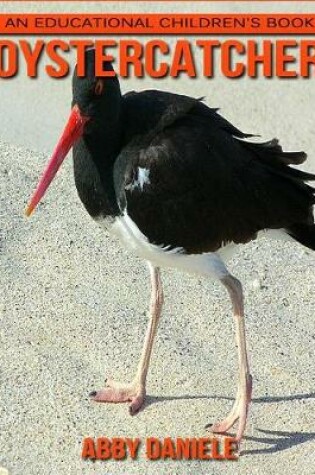 Cover of Oystercatcher! An Educational Children's Book about Oystercatcher with Fun Facts & Photos