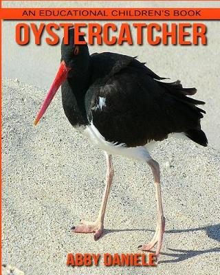 Book cover for Oystercatcher! An Educational Children's Book about Oystercatcher with Fun Facts & Photos