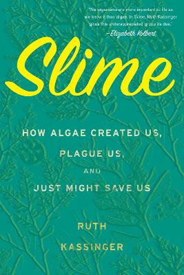 Book cover for Slime