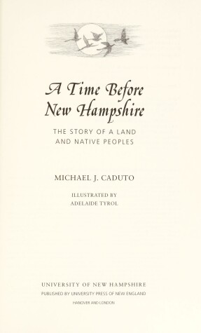 Book cover for A Time Before New Hampshire