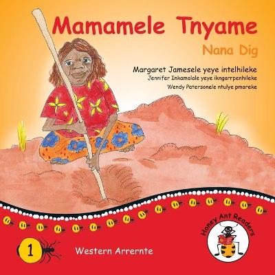 Book cover for Mamamele Tnyame - Nana Dig