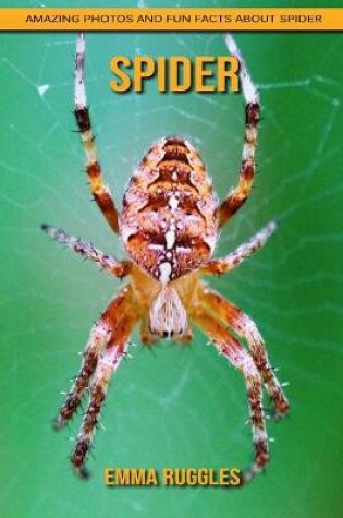 Cover of Spider