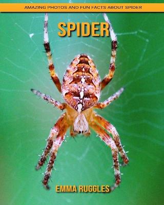 Book cover for Spider