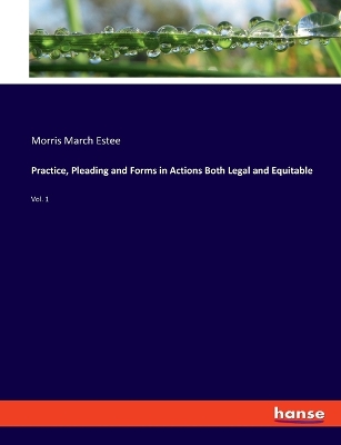 Book cover for Practice, Pleading and Forms in Actions Both Legal and Equitable