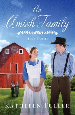 Book cover for An Amish Family