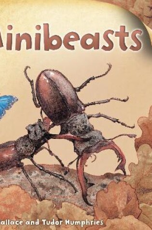 Cover of Flip the Flaps: Minibeasts