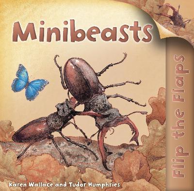 Book cover for Flip the Flaps: Minibeasts