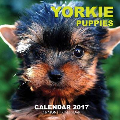 Book cover for Yorkie Puppies Calendar 2017
