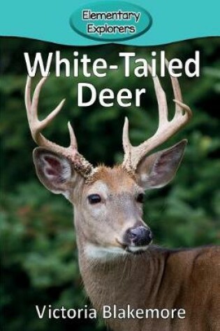 Cover of White-Tailed Deer