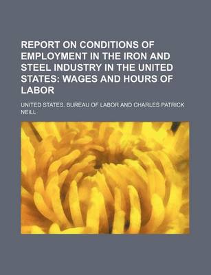 Book cover for Report on Conditions of Employment in the Iron and Steel Industry in the United States