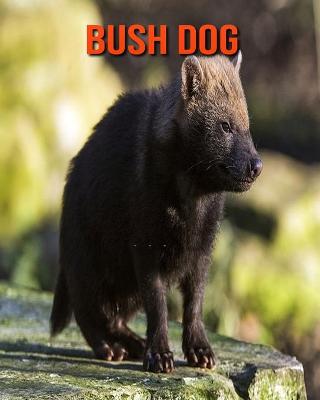 Book cover for Bush Dog