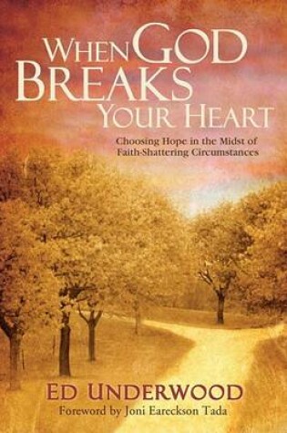 Cover of When God Breaks Your Heart