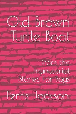 Book cover for Old Brown Turtle Boat