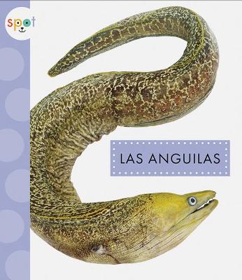 Book cover for Las Anguilas