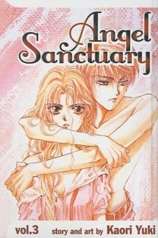 Cover of Angel Sanctuary, Volume 3