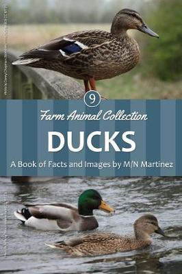 Book cover for Ducks