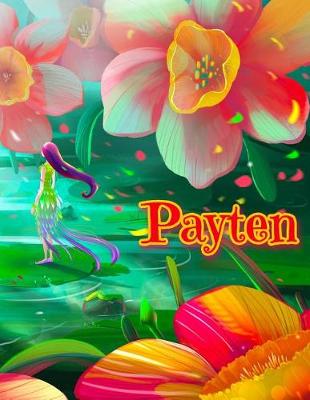 Book cover for Payten