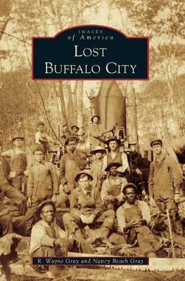 Book cover for Lost Buffalo City