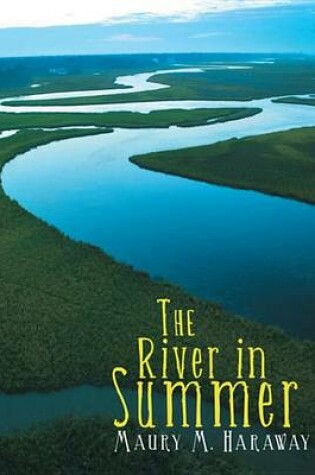 Cover of The River in Summer