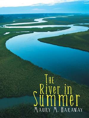 Book cover for The River in Summer